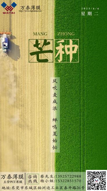 今日芒種丨芒有所獲,種有所得